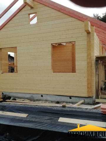 stds-19